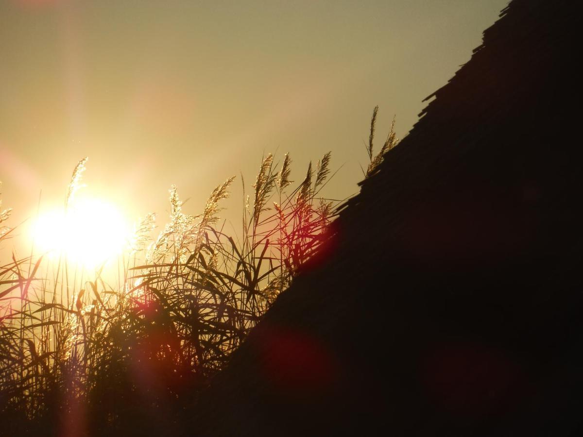 Pfahlbau Sunset I Toplage Elektroboot Inklusive Руст Екстер'єр фото